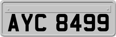 AYC8499