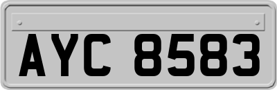 AYC8583