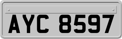 AYC8597