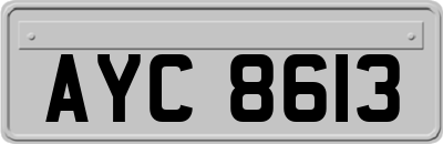 AYC8613
