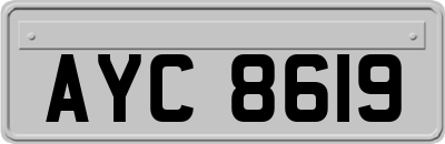 AYC8619