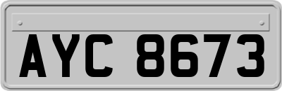 AYC8673