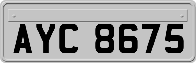 AYC8675