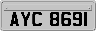 AYC8691