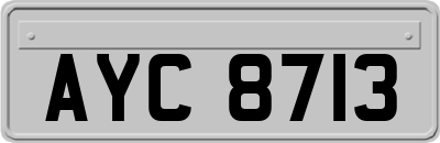 AYC8713