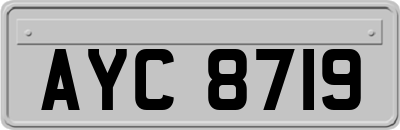 AYC8719
