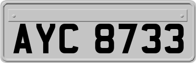 AYC8733