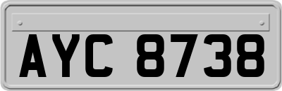 AYC8738