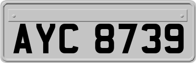 AYC8739