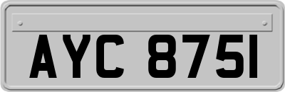 AYC8751