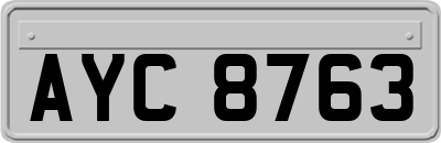 AYC8763