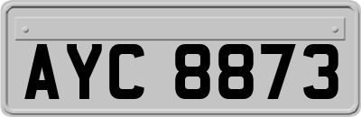 AYC8873