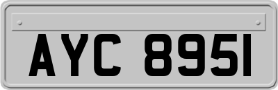 AYC8951