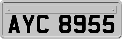 AYC8955