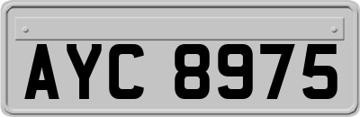 AYC8975