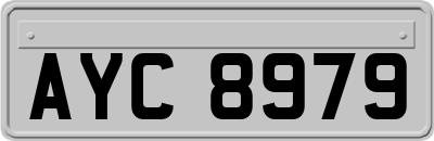 AYC8979