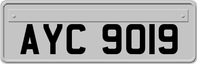 AYC9019
