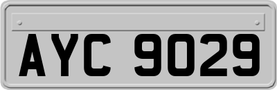 AYC9029