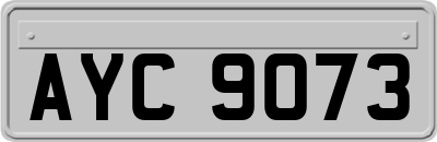 AYC9073