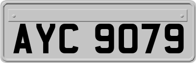 AYC9079