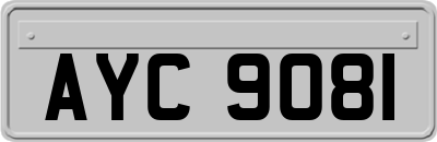AYC9081