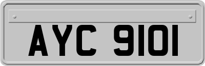 AYC9101