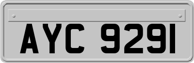 AYC9291