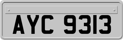 AYC9313