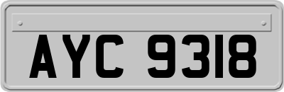 AYC9318