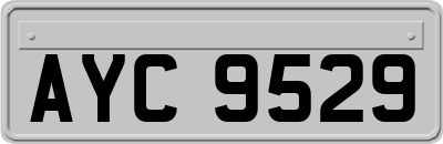 AYC9529