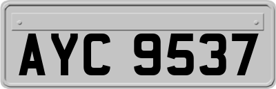 AYC9537