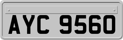 AYC9560