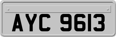 AYC9613
