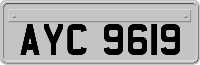 AYC9619