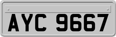 AYC9667
