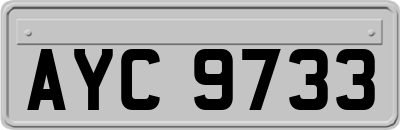 AYC9733