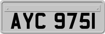 AYC9751