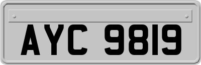 AYC9819