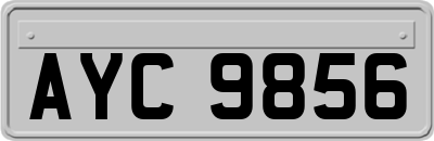 AYC9856
