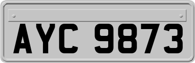 AYC9873