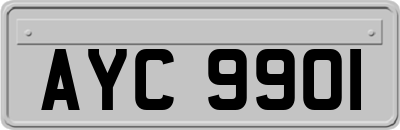 AYC9901