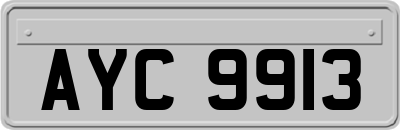 AYC9913