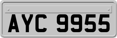 AYC9955