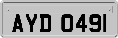 AYD0491