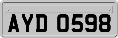 AYD0598