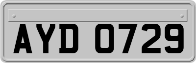 AYD0729