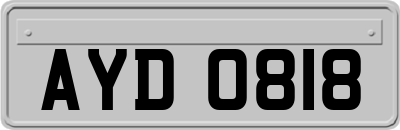 AYD0818