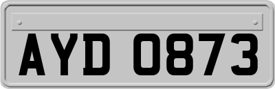 AYD0873
