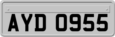 AYD0955