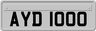 AYD1000
